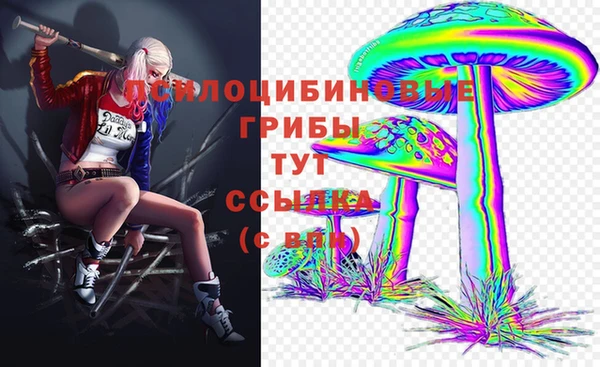 соль ск Слюдянка