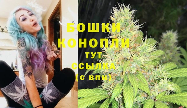 соль ск Слюдянка